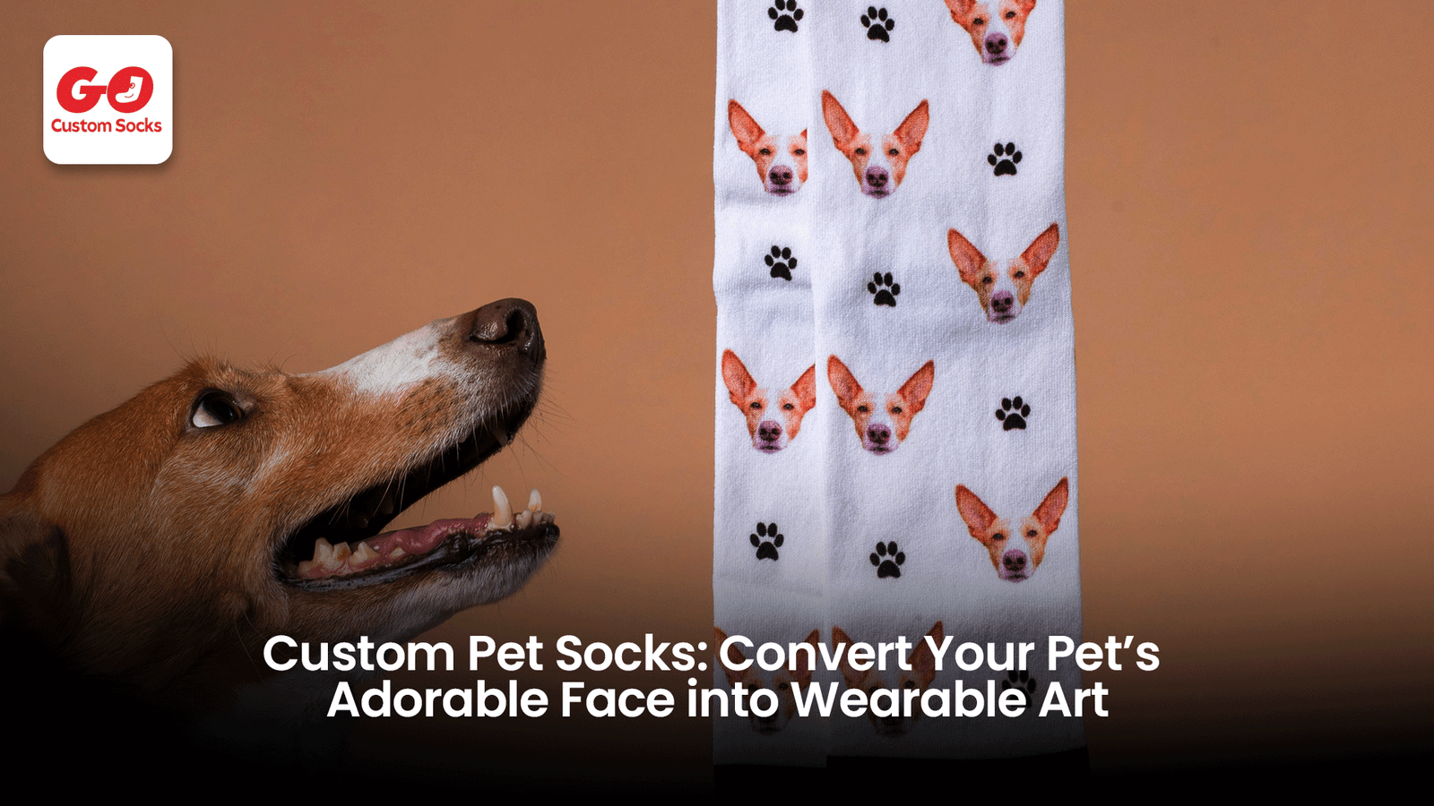 Custom Pet Socks: Convert Your Pet’s Adorable Face into Wearable Art