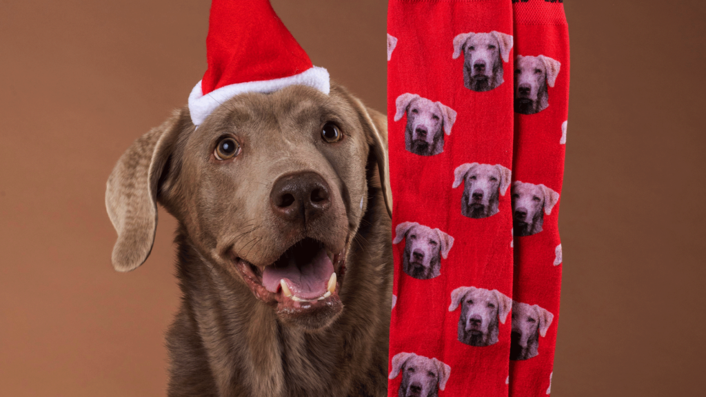 Custom pet socks with a dog’s face design!