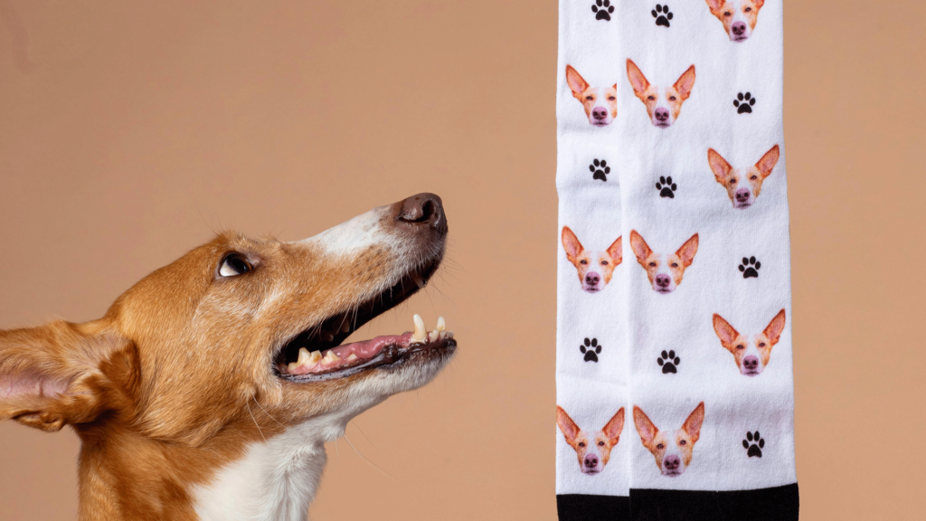 Create custom socks with photos to feature your pet!