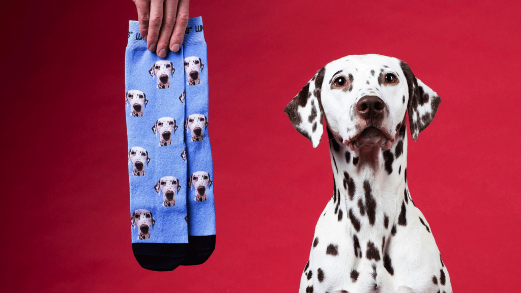 Custom pet socks with multiple pet faces.